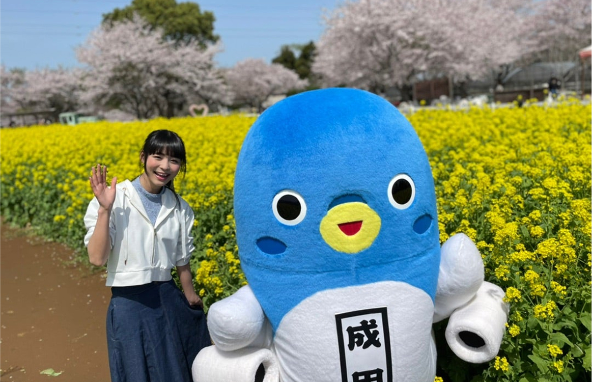 ゆるドルの活動